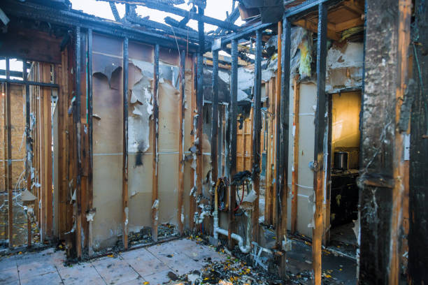 Professional Odor Removal technician working in Saco, ME